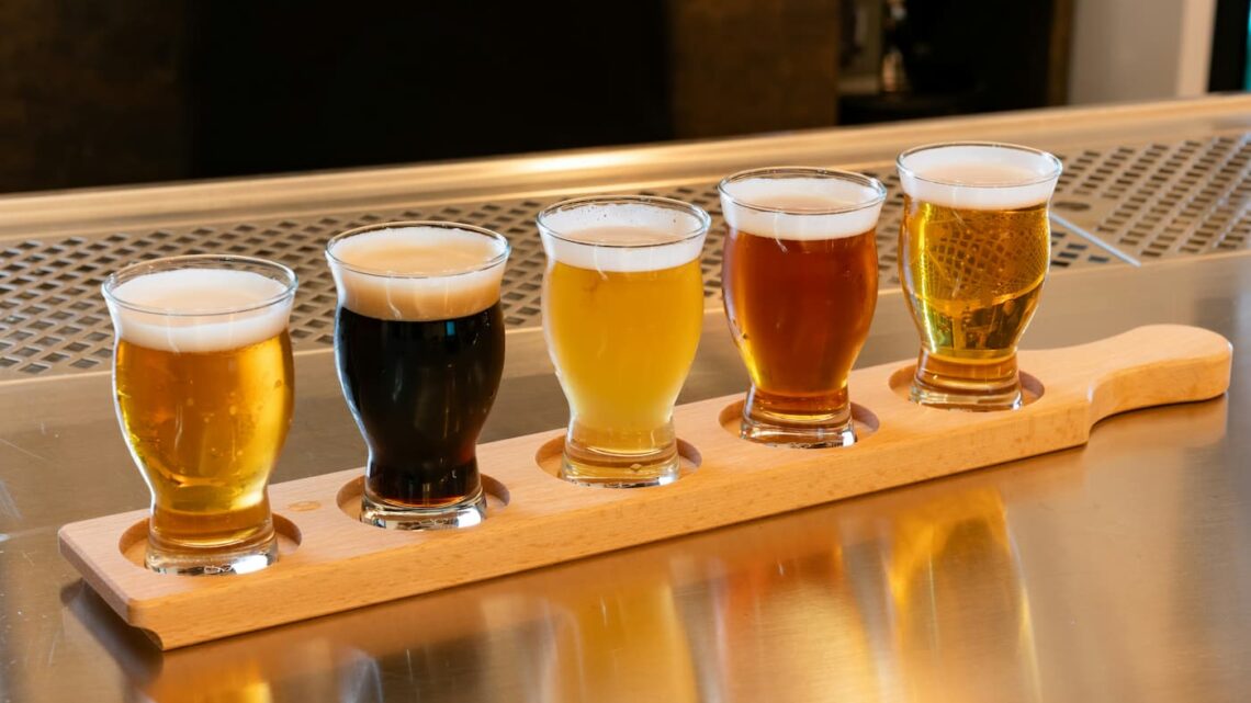 Tipos de cerveja: guia completo das famílias, estilos e sabores