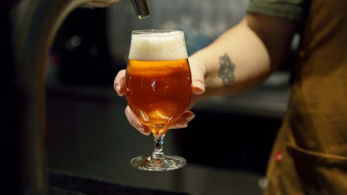 Quais são os ingredientes da cerveja? Saiba tudo sobre malte, lúpulo e levedura