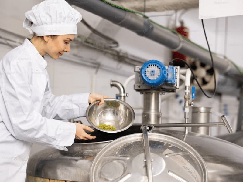 Mulher em uniforme branco e touca de chef adicionando lúpulo (pellets verdes em uma tigela de metal) a um grande tanque de aço inoxidável em uma fábrica ou cervejaria.
